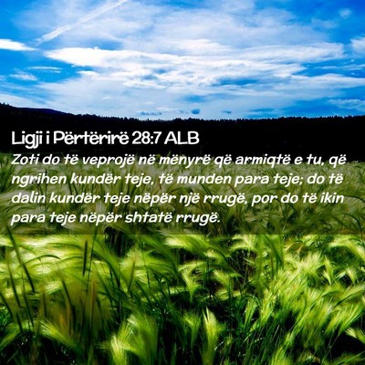 Picture 02 - Ligji i Përtërirë 28:7 ALB - Zoti do të veprojë në mënyrë që armiqtë e - Bible Verse Picture