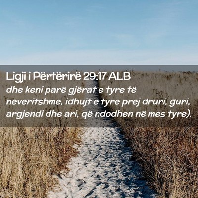 Picture 02 - Ligji i Përtërirë 29:17 ALB - dhe keni parë gjërat e tyre të neveritshme, - Bible Verse Picture