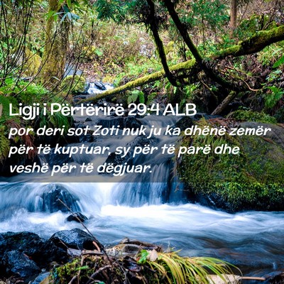 Picture 02 - Ligji i Përtërirë 29:4 ALB - por deri sot Zoti nuk ju ka dhënë zemër për - Bible Verse Picture