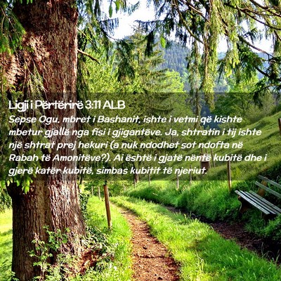Picture 02 - Ligji i Përtërirë 3:11 ALB - Sepse Ogu, mbret i Bashanit, ishte i vetmi që - Bible Verse Picture