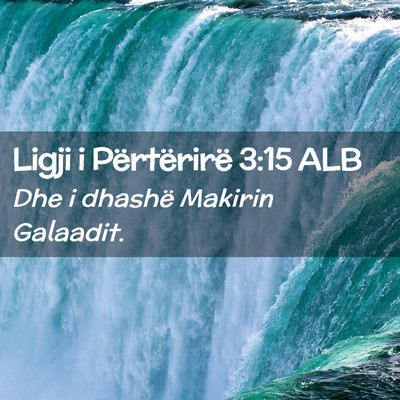 Picture 02 - Ligji i Përtërirë 3:15 ALB - Dhe i dhashë Makirin - Bible Verse Picture