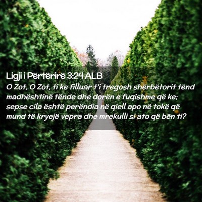 Picture 02 - Ligji i Përtërirë 3:24 ALB - O Zot, O Zot, ti ke filluar t’i tregosh - Bible Verse Picture