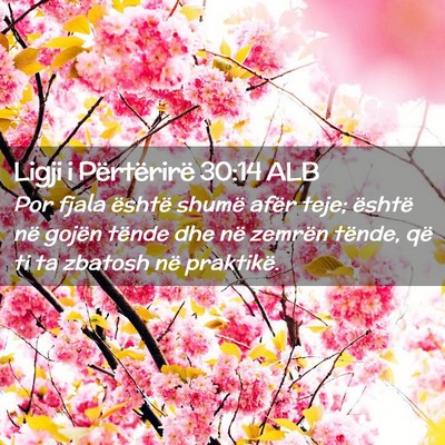 Picture 02 - Ligji i Përtërirë 30:14 ALB - Por fjala është shumë afër teje; është në - Bible Verse Picture