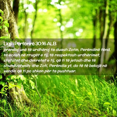 Picture 02 - Ligji i Përtërirë 30:16 ALB - prandaj unë të urdhëroj ta duash Zotin, - Bible Verse Picture