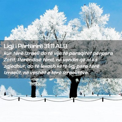 Picture 02 - Ligji i Përtërirë 31:11 ALB - kur tërë Izraeli do të vijë të paraqitet - Bible Verse Picture