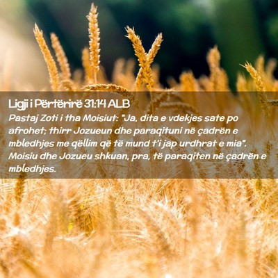 Picture 02 - Ligji i Përtërirë 31:14 ALB - Pastaj Zoti i tha Moisiut: 