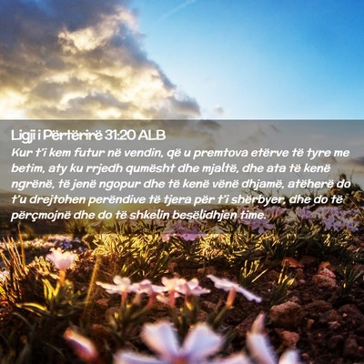 Picture 02 - Ligji i Përtërirë 31:20 ALB - Kur t’i kem futur në vendin, që u premtova - Bible Verse Picture