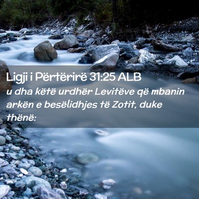 Picture 02 - Ligji i Përtërirë 31:25 ALB - u dha këtë urdhër Levitëve që mbanin arkën - Bible Verse Picture