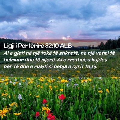 Picture 02 - Ligji i Përtërirë 32:10 ALB - Ai e gjeti në një tokë të shkretë, në një - Bible Verse Picture