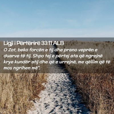 Picture 02 - Ligji i Përtërirë 33:11 ALB - O Zot, beko forcën e tij dhe prano veprën e - Bible Verse Picture