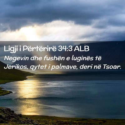 Picture 02 - Ligji i Përtërirë 34:3 ALB - Negevin dhe fushën e luginës të Jerikos, qytet - Bible Verse Picture
