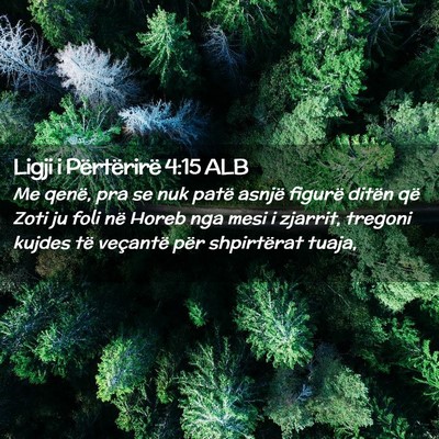 Picture 02 - Ligji i Përtërirë 4:15 ALB - Me qenë, pra se nuk patë asnjë figurë ditën - Bible Verse Picture