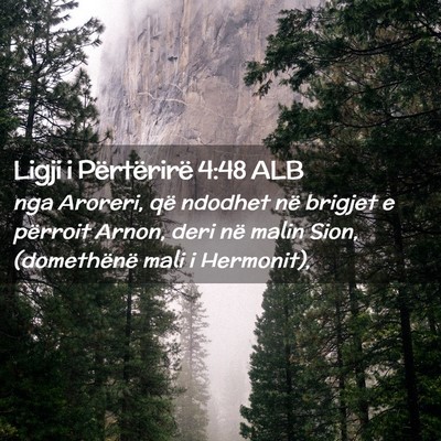 Picture 02 - Ligji i Përtërirë 4:48 ALB - nga Aroreri, që ndodhet në brigjet e përroit - Bible Verse Picture