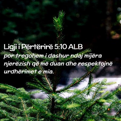 Picture 02 - Ligji i Përtërirë 5:10 ALB - por tregohem i dashur ndaj mijëra njerëzish që - Bible Verse Picture