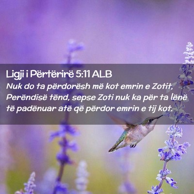 Picture 02 - Ligji i Përtërirë 5:11 ALB - Nuk do ta përdorësh më kot emrin e Zotit, - Bible Verse Picture