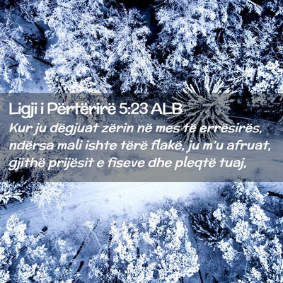 Picture 02 - Ligji i Përtërirë 5:23 ALB - Kur ju dëgjuat zërin në mes të errësirës, - Bible Verse Picture