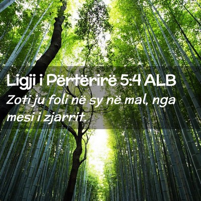 Picture 02 - Ligji i Përtërirë 5:4 ALB - Zoti ju foli në sy në mal, nga mesi i - Bible Verse Picture