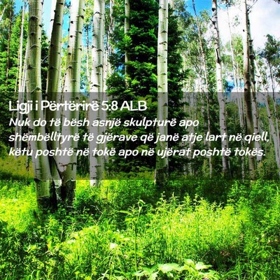 Picture 02 - Ligji i Përtërirë 5:8 ALB - Nuk do të bësh asnjë skulpturë apo - Bible Verse Picture