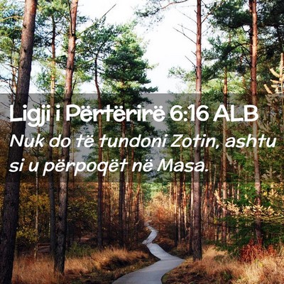 Picture 02 - Ligji i Përtërirë 6:16 ALB - Nuk do të tundoni Zotin, ashtu si u përpoqët - Bible Verse Picture