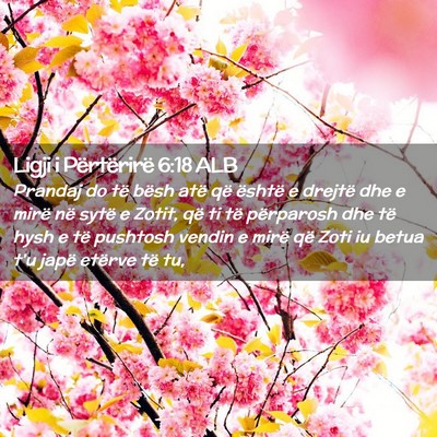 Picture 02 - Ligji i Përtërirë 6:18 ALB - Prandaj do të bësh atë që është e drejtë - Bible Verse Picture