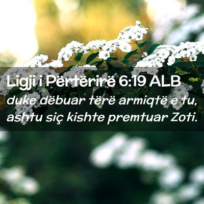 Picture 02 - Ligji i Përtërirë 6:19 ALB - duke dëbuar tërë armiqtë e tu, ashtu siç - Bible Verse Picture