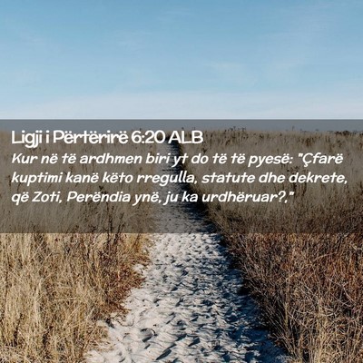 Picture 02 - Ligji i Përtërirë 6:20 ALB - Kur në të ardhmen biri yt do të të pyesë: - Bible Verse Picture