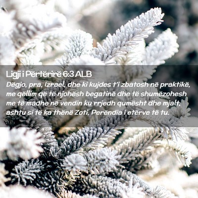 Picture 02 - Ligji i Përtërirë 6:3 ALB - Dëgjo, pra, Izrael, dhe ki kujdes t’i zbatosh - Bible Verse Picture