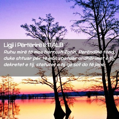 Picture 02 - Ligji i Përtërirë 8:11 ALB - Ruhu mirë të mos harrosh Zotin, Perëndinë - Bible Verse Picture