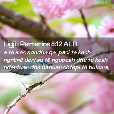 Picture 02 - Ligji i Përtërirë 8:12 ALB - e të mos ndodhë që, pasi të kesh ngrënë - Bible Verse Picture