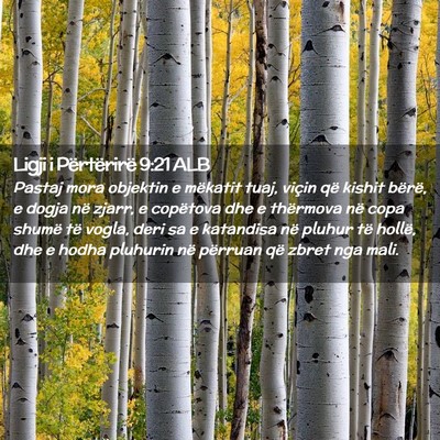 Picture 02 - Ligji i Përtërirë 9:21 ALB - Pastaj mora objektin e mëkatit tuaj, viçin që - Bible Verse Picture