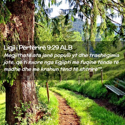 Picture 02 - Ligji i Përtërirë 9:29 ALB - Megjithatë ata janë populli yt dhe trashëgimia - Bible Verse Picture