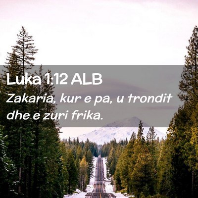 Picture 02 - Luka 1:12 ALB - Zakaria, kur e pa, u trondit dhe e zuri - Bible Verse Picture