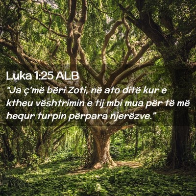 Picture 02 - Luka 1:25 ALB - “Ja ç’më bëri Zoti, në ato ditë kur e - Bible Verse Picture