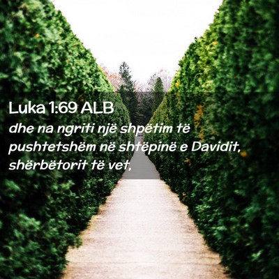 Picture 02 - Luka 1:69 ALB - dhe na ngriti një shpëtim të pushtetshëm në - Bible Verse Picture