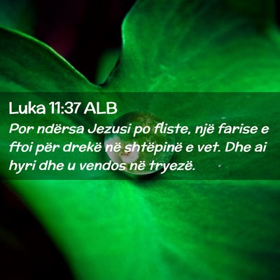 Picture 02 - Luka 11:37 ALB - Por ndërsa Jezusi po fliste, një farise e ftoi - Bible Verse Picture
