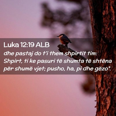 Picture 02 - Luka 12:19 ALB - dhe pastaj do t’i them shpirtit tim: Shpirt, ti - Bible Verse Picture