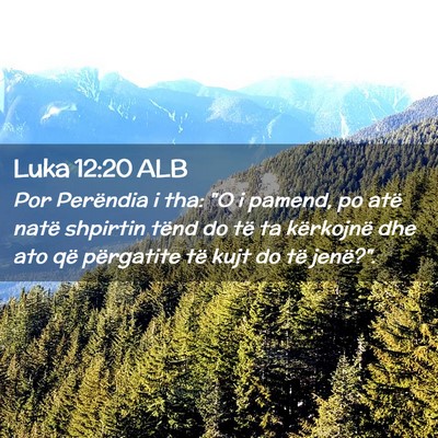 Picture 02 - Luka 12:20 ALB - Por Perëndia i tha: 