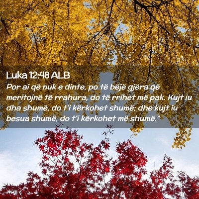 Picture 02 - Luka 12:48 ALB - Por ai që nuk e dinte, po të bëjë gjëra që - Bible Verse Picture