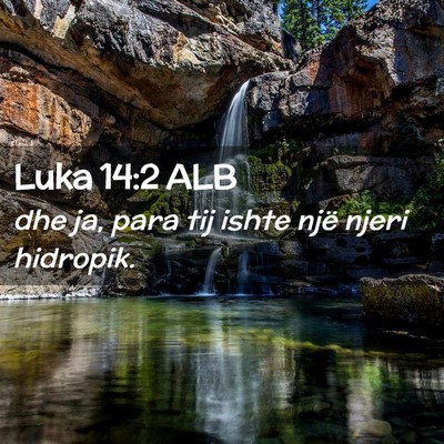 Picture 02 - Luka 14:2 ALB - dhe ja, para tij ishte një njeri - Bible Verse Picture