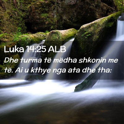 Picture 02 - Luka 14:25 ALB - Dhe turma të mëdha shkonin me të. Ai u kthye - Bible Verse Picture