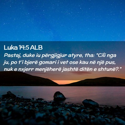 Picture 02 - Luka 14:5 ALB - Pastaj, duke iu përgjigjur atyre, tha: “Cili - Bible Verse Picture