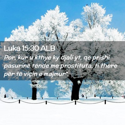 Picture 02 - Luka 15:30 ALB - Por, kur u kthye ky djali yt, që prishi - Bible Verse Picture