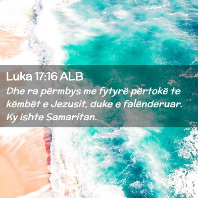 Picture 02 - Luka 17:16 ALB - Dhe ra përmbys me fytyrë përtokë te këmbët - Bible Verse Picture