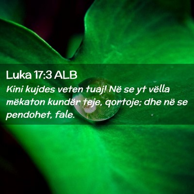 Picture 02 - Luka 17:3 ALB - Kini kujdes veten tuaj! Në se yt vëlla mëkaton - Bible Verse Picture