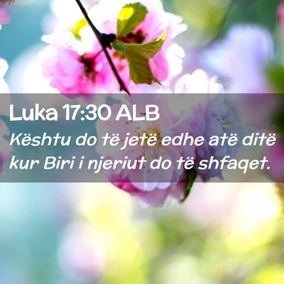 Picture 02 - Luka 17:30 ALB - Kështu do të jetë edhe atë ditë kur Biri i - Bible Verse Picture