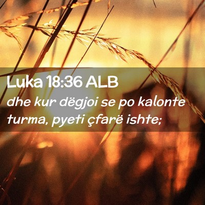 Picture 02 - Luka 18:36 ALB - dhe kur dëgjoi se po kalonte turma, pyeti - Bible Verse Picture