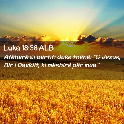 Picture 02 - Luka 18:38 ALB - Atëherë ai bërtiti duke thënë: “O Jezus, - Bible Verse Picture
