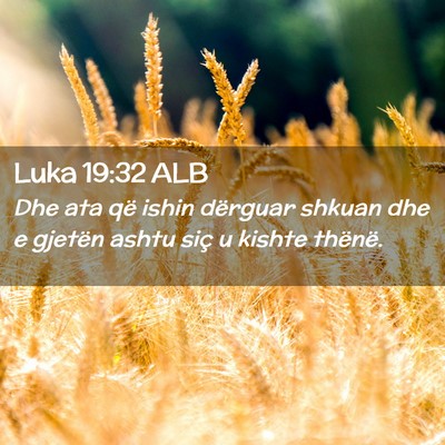 Picture 02 - Luka 19:32 ALB - Dhe ata që ishin dërguar shkuan dhe e gjetën - Bible Verse Picture