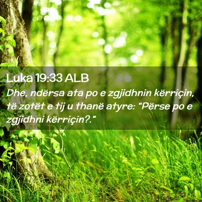 Picture 02 - Luka 19:33 ALB - Dhe, ndërsa ata po e zgjidhnin kërriçin, të - Bible Verse Picture