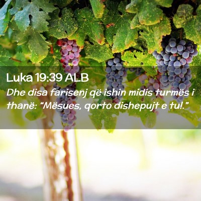 Picture 02 - Luka 19:39 ALB - Dhe disa farisenj që ishin midis turmës i - Bible Verse Picture